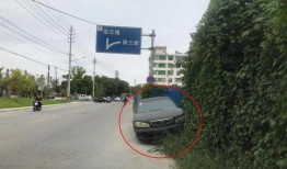 沿江路最新爆料消息,揭秘沿线发展新动态与未来规划