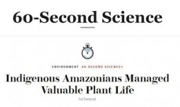 sss在线观看华人,共鉴文化魅力