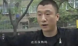 电视剧征服在线观看,权谋与情感交织的官场风云