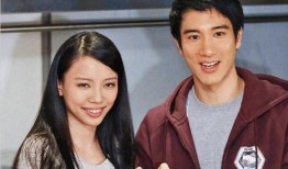 娱乐记者再爆料王力宏,娱乐记者独家爆料，真相究竟如何？