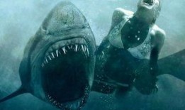鲨鱼惊魂夜在线观看,深海逃生大冒险