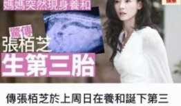 娱乐圈八卦爆料张柏芝是谁啊,娱乐圈八卦中的璀璨明星