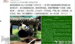 美国人爆料熊猫视频播放