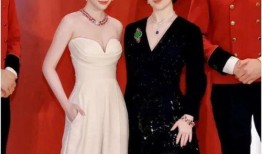 港媒爆料何超琼视频完整版,何超琼视频完整版引发热议，独家解读背后真相