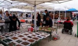 阿拉善展会爆料最新消息,前沿科技与绿色未来精彩纷呈