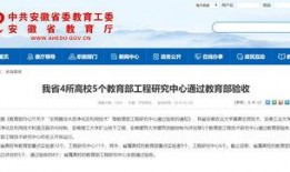 合肥市新闻爆料,多起事件引发社会关注