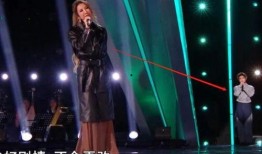 李玟录音爆料视频大全,揭秘背后真相与争议