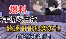爆料网文博主抄袭的视频,博主视频涉嫌侵权，原创者发声维权