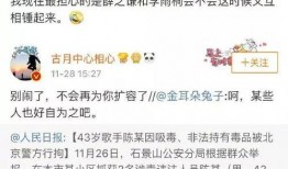 追星吃瓜日记免费阅读,揭秘明星幕后故事