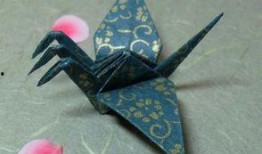 千纸鹤最新爆料视频大全,精彩瞬间尽收眼底