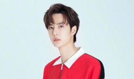 娱乐大爆料邢邵林视频,揭秘明星幕后生活