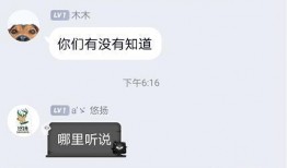 圈内爆料最新一期视频在线观看,最新一期视频在线观看，精彩内容抢先看！