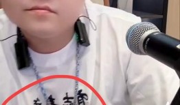 大瓜爆料小胖视频下载,小胖视频下载背后的真相