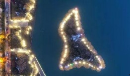 合肥天鹅湖最新爆料新闻,揭秘最新爆料背后的真相