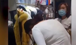 试衣间视频在线观看,试衣间视频带你领略潮流风采