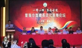 四川新闻热点大事件爆料,揭秘近期大事件背后的真相与影响