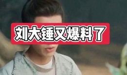 刘大锤爆料曹云龙视频播放,播放量惊人引热议