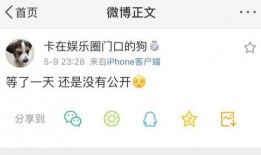 qq吃瓜爆料免费,免费获取娱乐圈最新资讯的神秘渠道