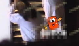 刘大锤网友爆料视频播放,揭秘事件背后惊人真相