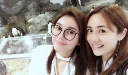 刘芸小号爆料视频大全,揭秘娱乐圈幕后故事