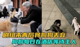 网友爆料玉林偷狗案件视频