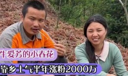 农民网红爆料视频,田间地头的新时代传播力量