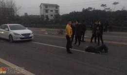 梅华车祸最新爆料视频大全,现场惨状与调查进展全解析