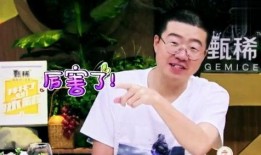 何炅老家爆料视频大全下载,揭秘明星背后的温馨故事