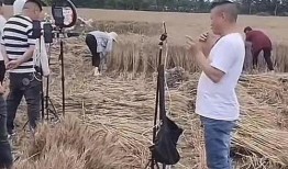 农民网红爆料视频,田间地头的新时代传播力量