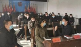 王庄最新爆料新闻视频播放,视频揭秘惊人内幕，真相令人震惊！