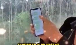 张兰爆料语音吸毒视频,张兰语音爆料吸毒视频引发舆论风暴