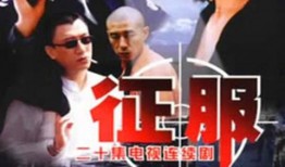 电视剧征服在线观看,权谋与情感交织的官场风云