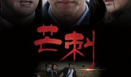 刺完整版在线观看,暗夜复仇者的逆袭之路