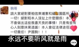 缅甸事件爆料视频播放,揭秘真相与内幕