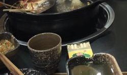 凌源美食爆料视频下载大全,视频下载大全带你领略地道风味