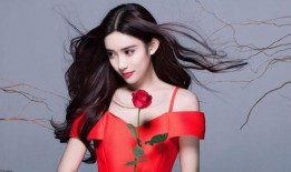 孟子义娱乐爆料是哪一期,独家幕后故事大公开