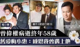 老汪爆料谢东明视频全集,老汪爆料视频全集深度解析