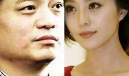 近期娱乐圈热点爆料文,揭秘明星背后的惊人真相！