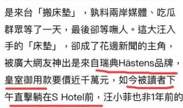 张兰爆料语音吸毒视频,张兰语音爆料吸毒视频引发舆论风暴