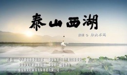 泰山歌视频爆料,一场震撼视听的视听盛宴