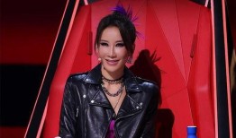 李玟录音爆料视频大全,揭秘背后真相与争议