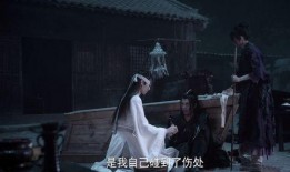 陈情令38集在线观看,揭秘神秘事件，兄弟情谊再升级