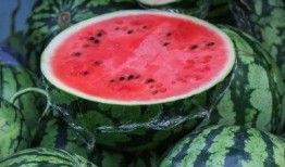 婷儿户外免费吃瓜,婷儿户外免费畅享夏日瓜果盛宴