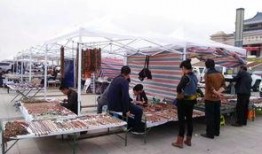 阿拉善展会爆料最新消息,前沿科技与绿色未来精彩纷呈