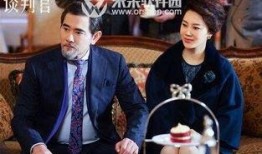 谈判官电视剧在线观看,职场精英的智慧较量与情感纠葛