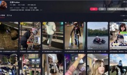 沈阳女骑士爆料新闻视频,沈阳女骑士爆料视频引发热议